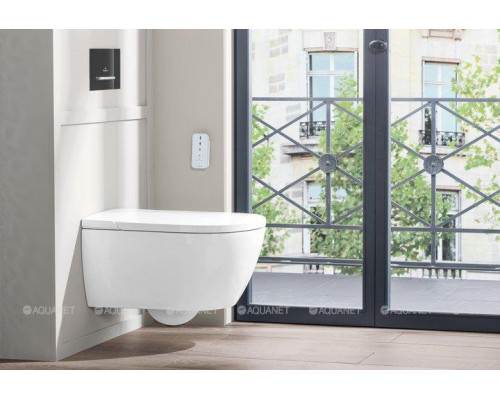 Унитаз-биде подвесной Villeroy & Boch ViClean-I 100 V0E100R1