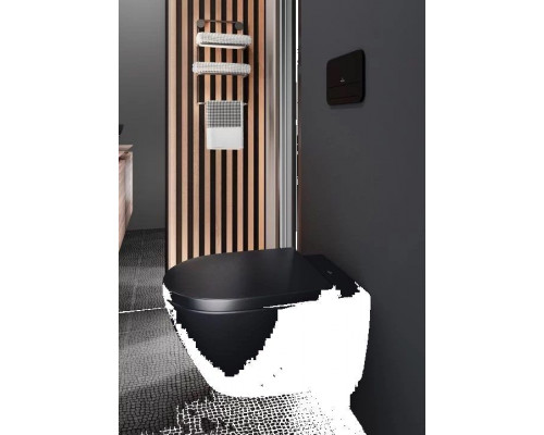 Клавиша смыва Villeroy & Boch ViConnect 922490AN